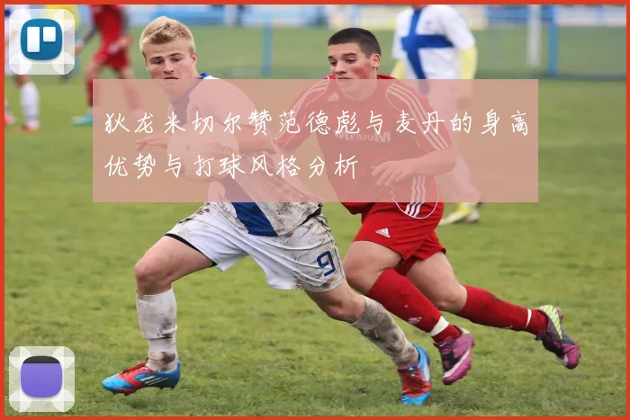 狄龙米切尔赞范德彪与麦丹的身高优势与打球风格分析