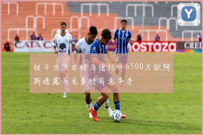 纽卡为沃尔特马德标价6500万欧阿斯透露马竞多特有意争夺